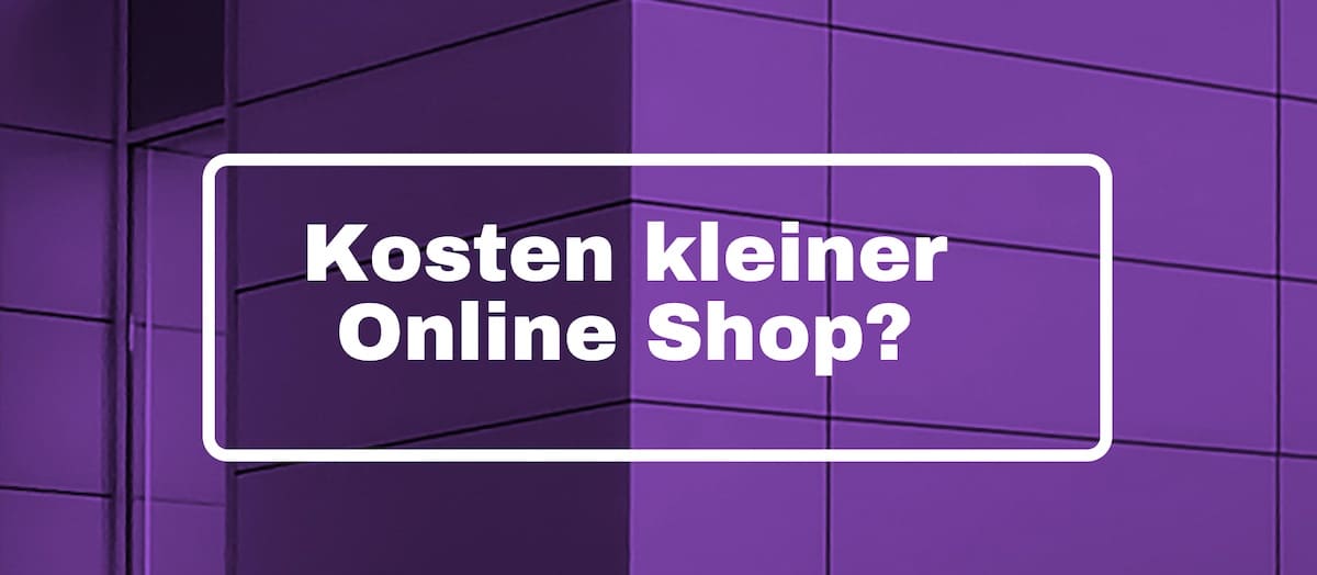 Kosten kleiner Online Shop